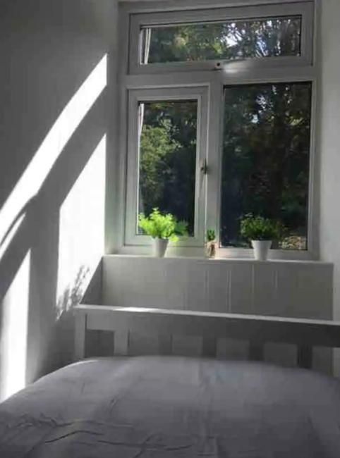 A Woodland Retreat - Apartment In Converted Mill Helston Esterno foto
